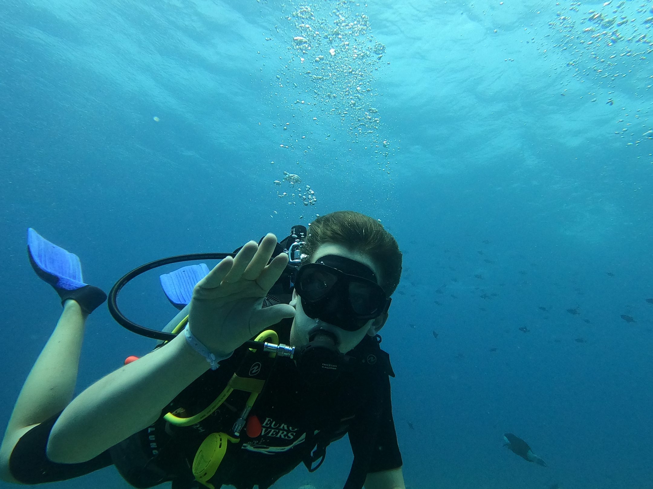 Diving in open water, close to the camera